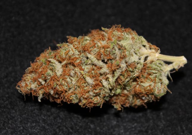 Chronic Thunder