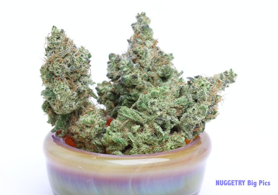 Banana OG