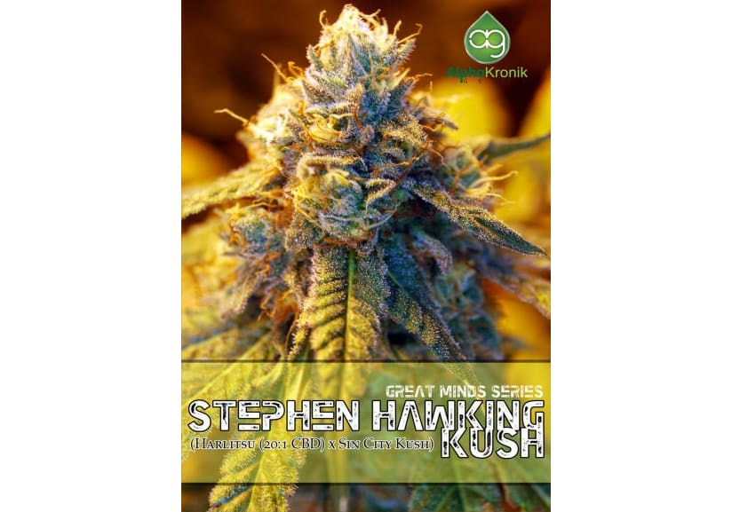 Stephen Hawking Kush aka SHK