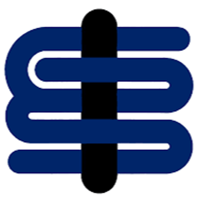 Gis inc