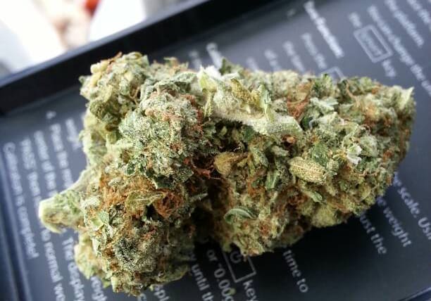 Larry OG Kush