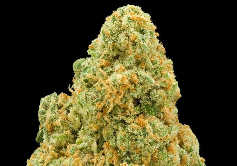 The Big Kahuna