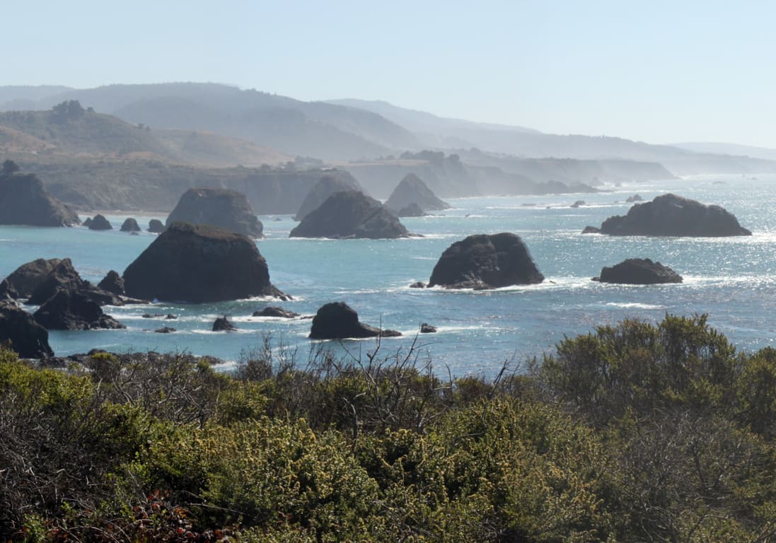 Humboldt