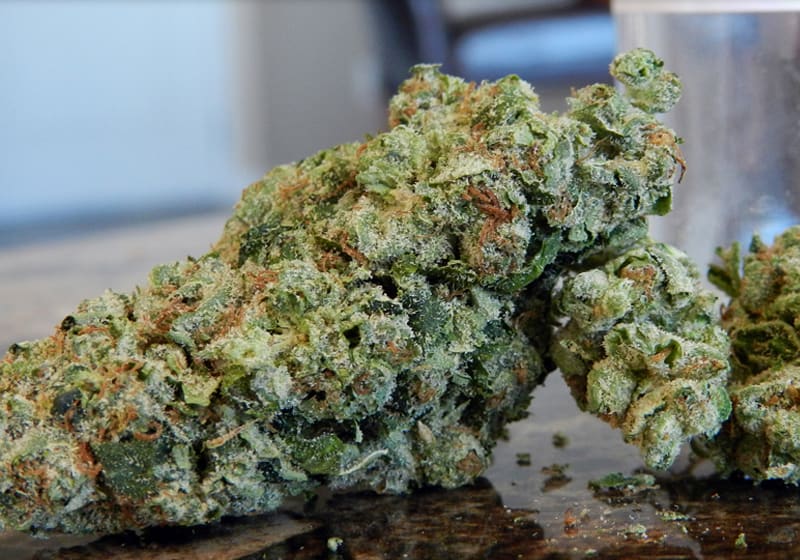 Northern Lights