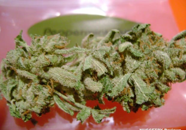 Peppermint Kush