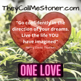 A Place For Stoners