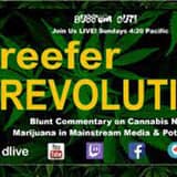 DC 420: The Week in Weed