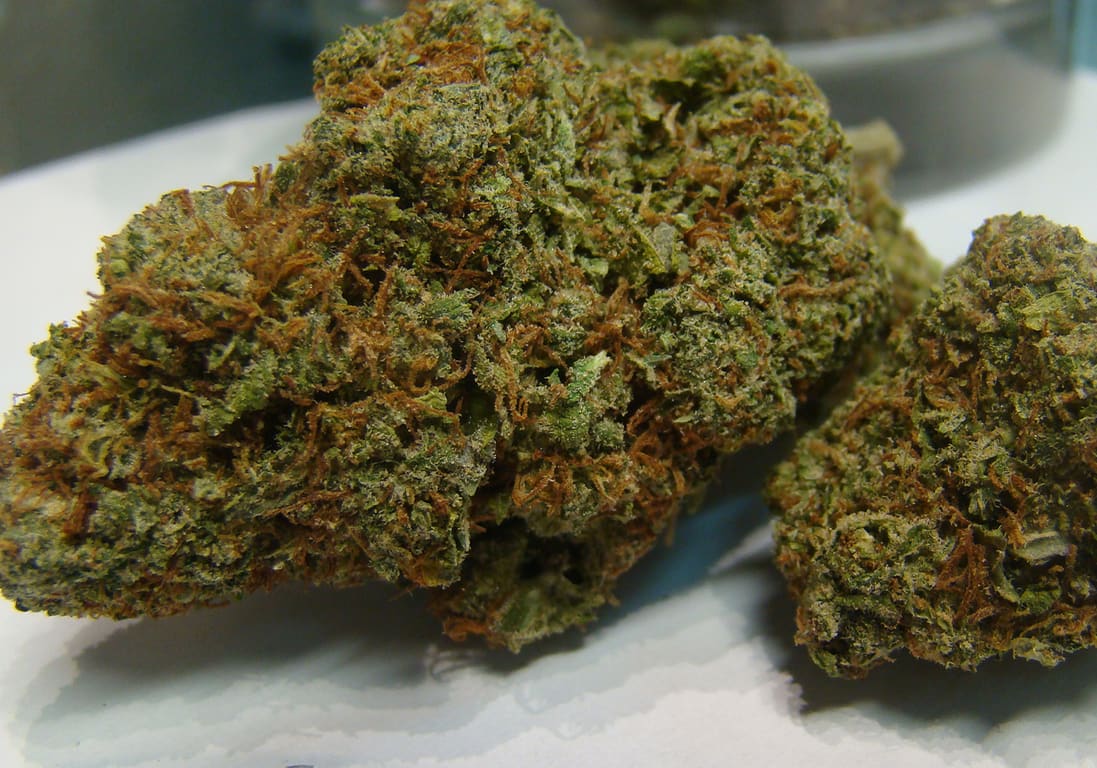 Red Cherry Berry