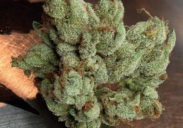 OG Kush