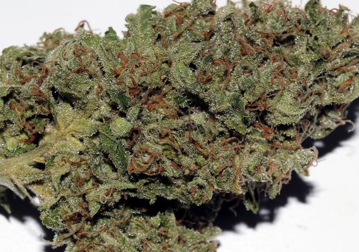 Ghost Train Haze #1