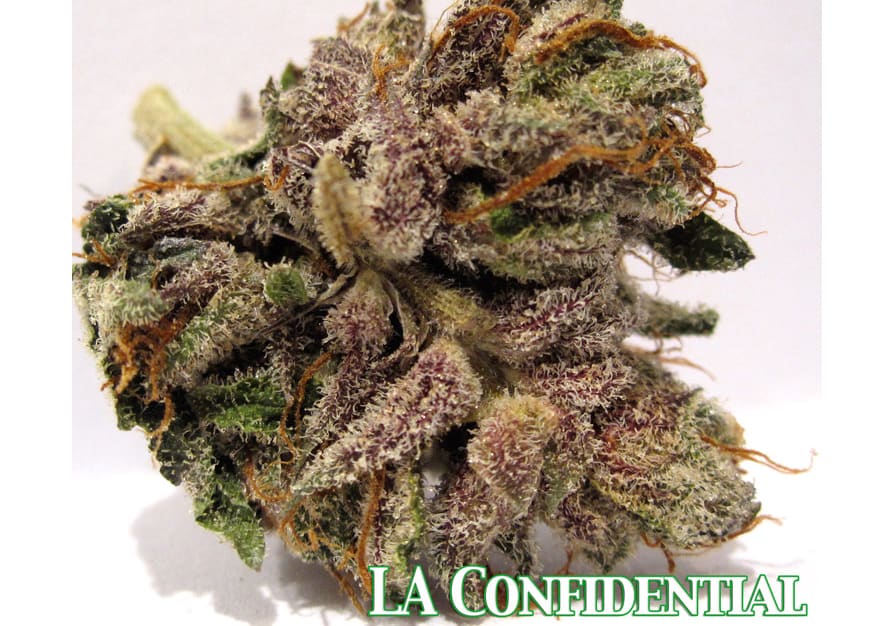 LA Confidential