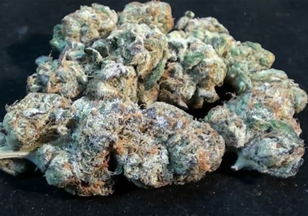 Girl Scout Cookies
