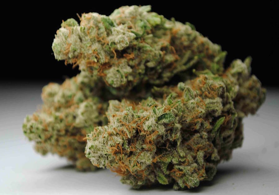 Dutch Treat