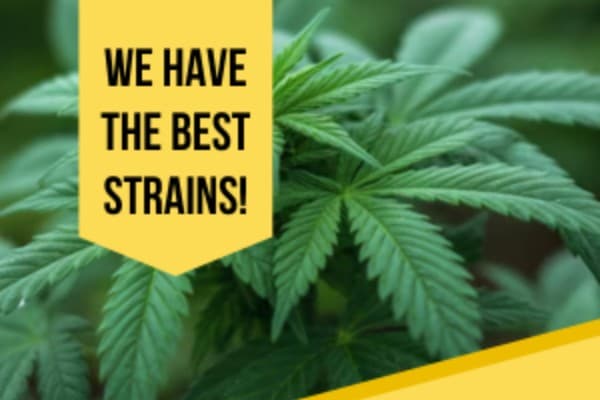 Banner Popup