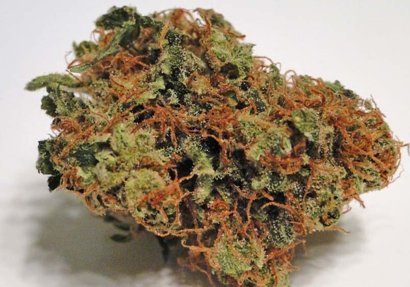 Hawaiian Snow