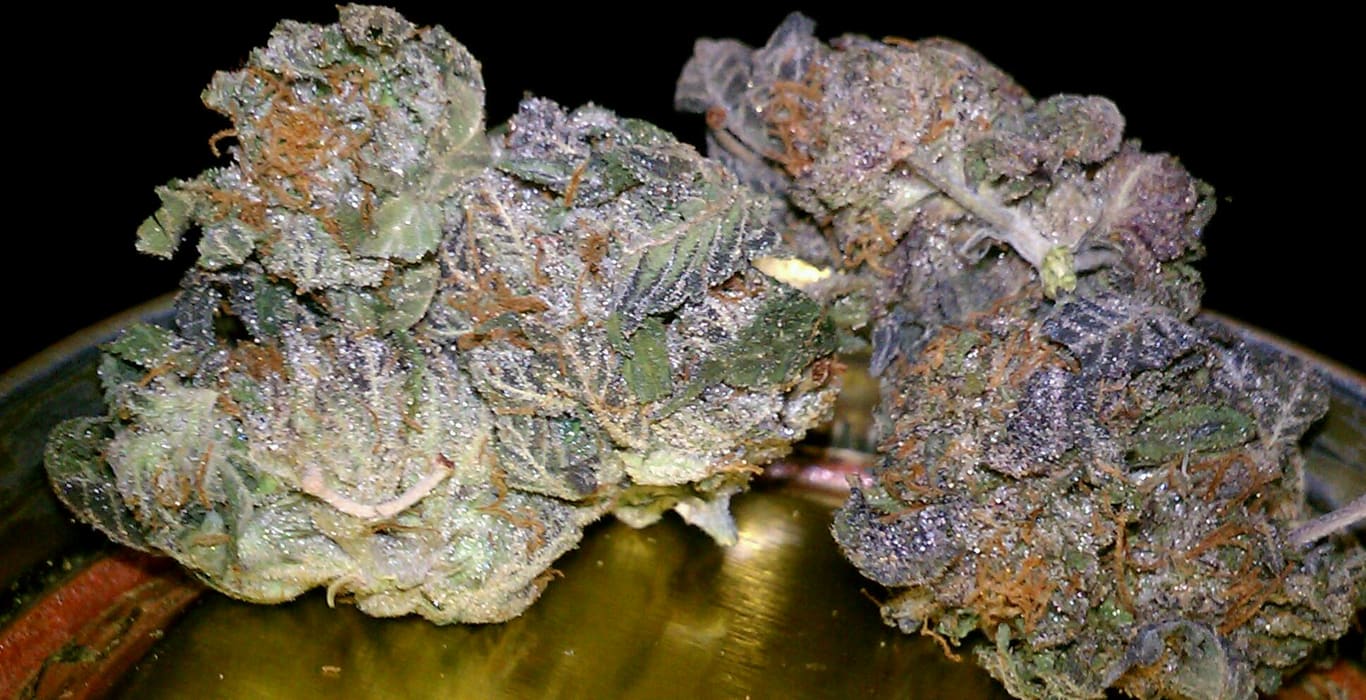 Bubba Kush