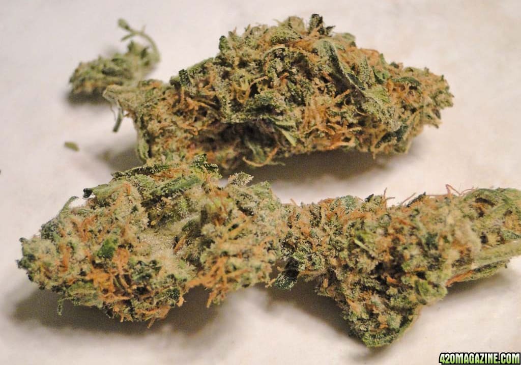 Romulan