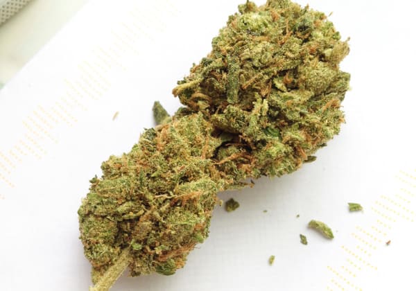 Lemon OG Kush