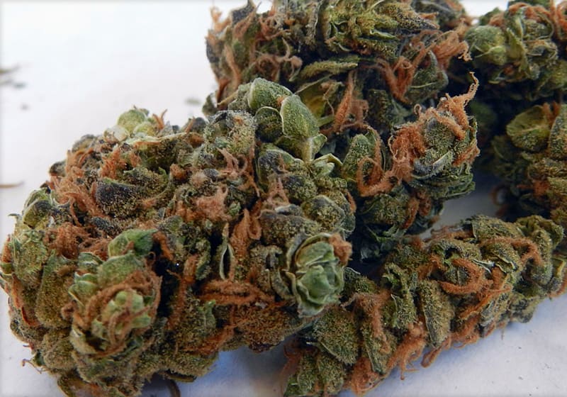 Power Plant