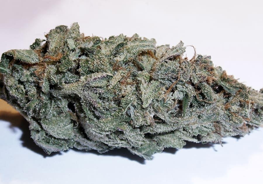 Blue Dream