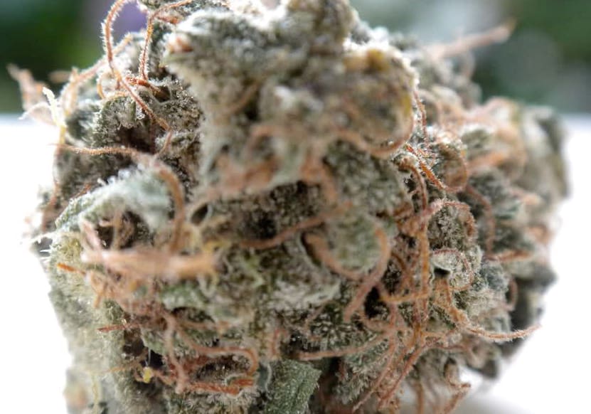 Hawaiian Snow