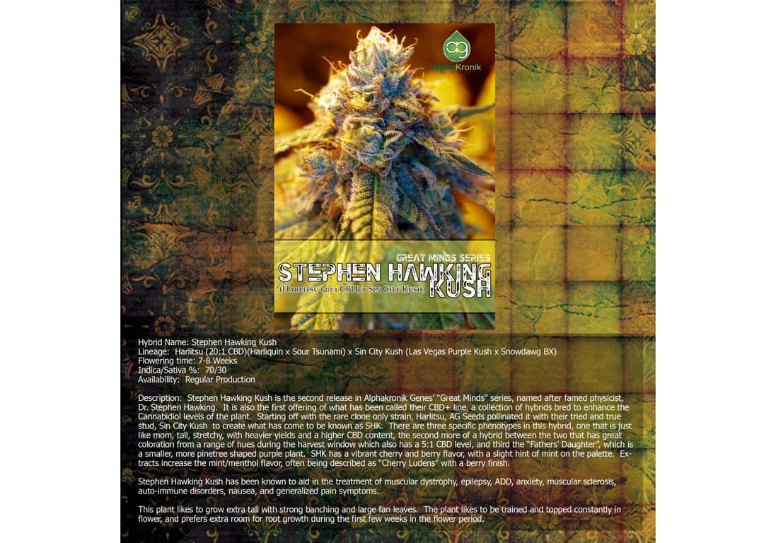 Stephen Hawking Kush aka SHK