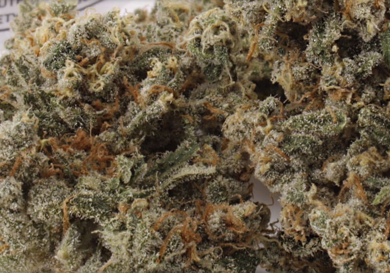Trainwreck