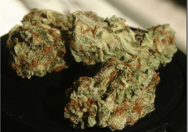 Master Kush (Nirvana)