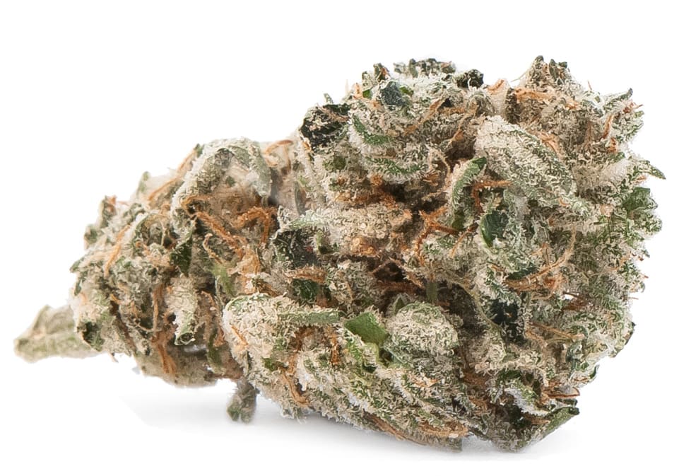 Headband