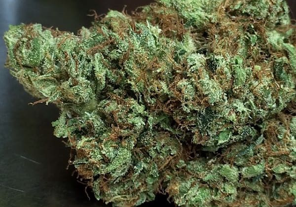 Abusive OG