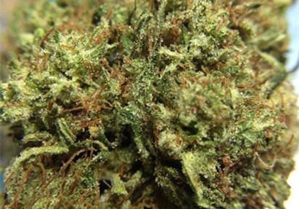 Tangerine Dream