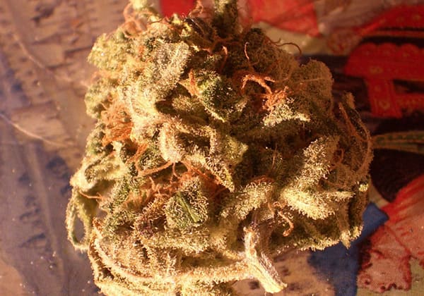 Hashberry