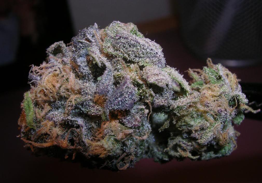 Purple Haze