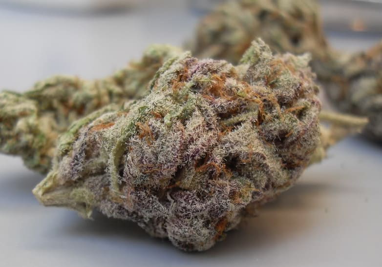 Blackberry Kush