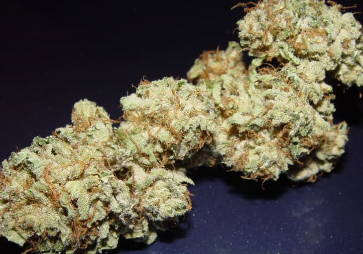 Alien Kush