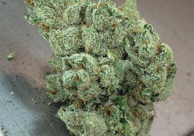Holy Grail OG Kush