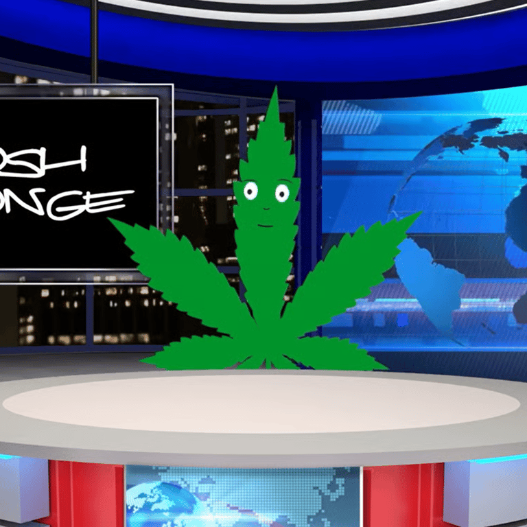 Weed Leader Media