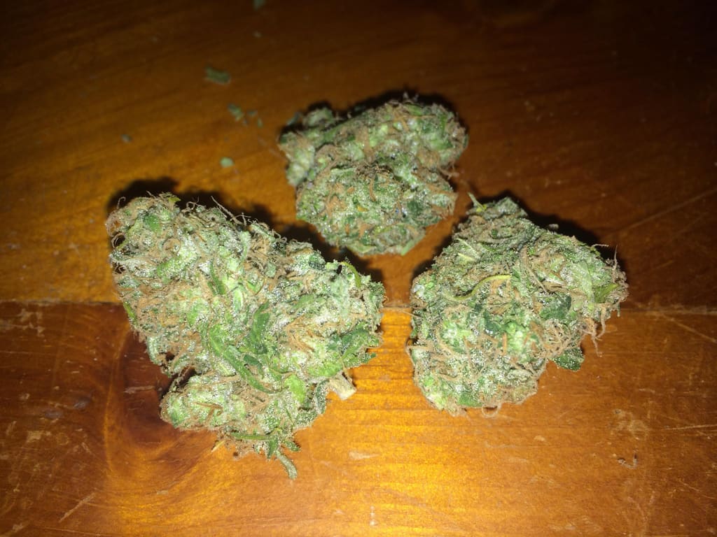 Northern Lights