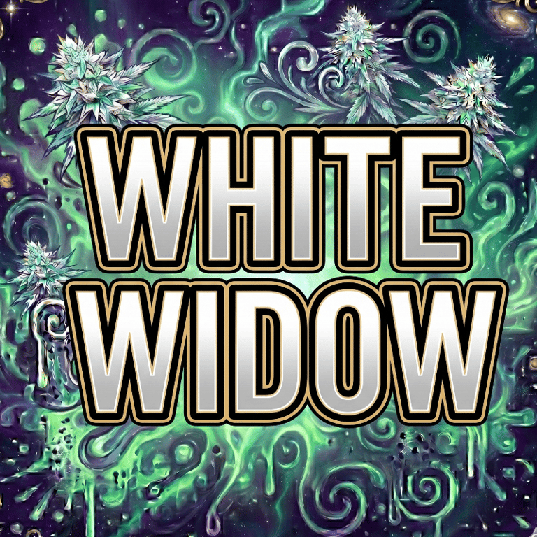 White Widow
