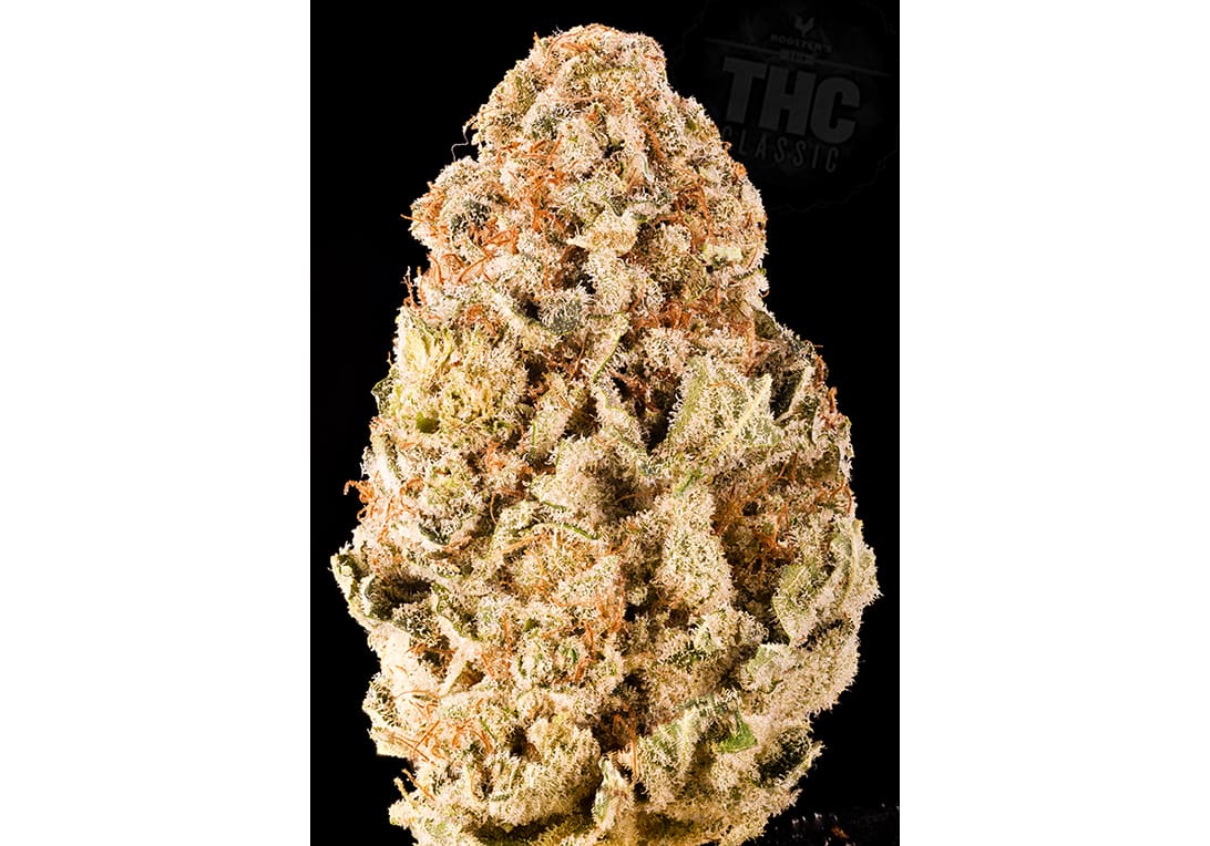 White Dawg Fire OG