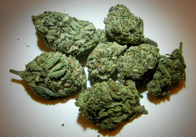 Durban Poison