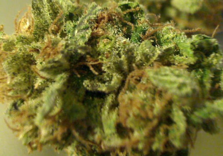 Headband