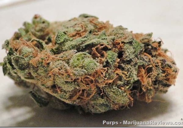 Purps