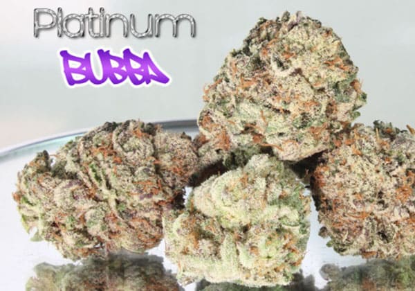 Platinum Bubba Kush