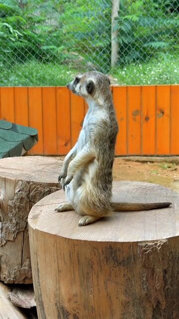 How Cannabis is Made