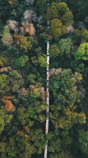 Live Music & Good Vibes