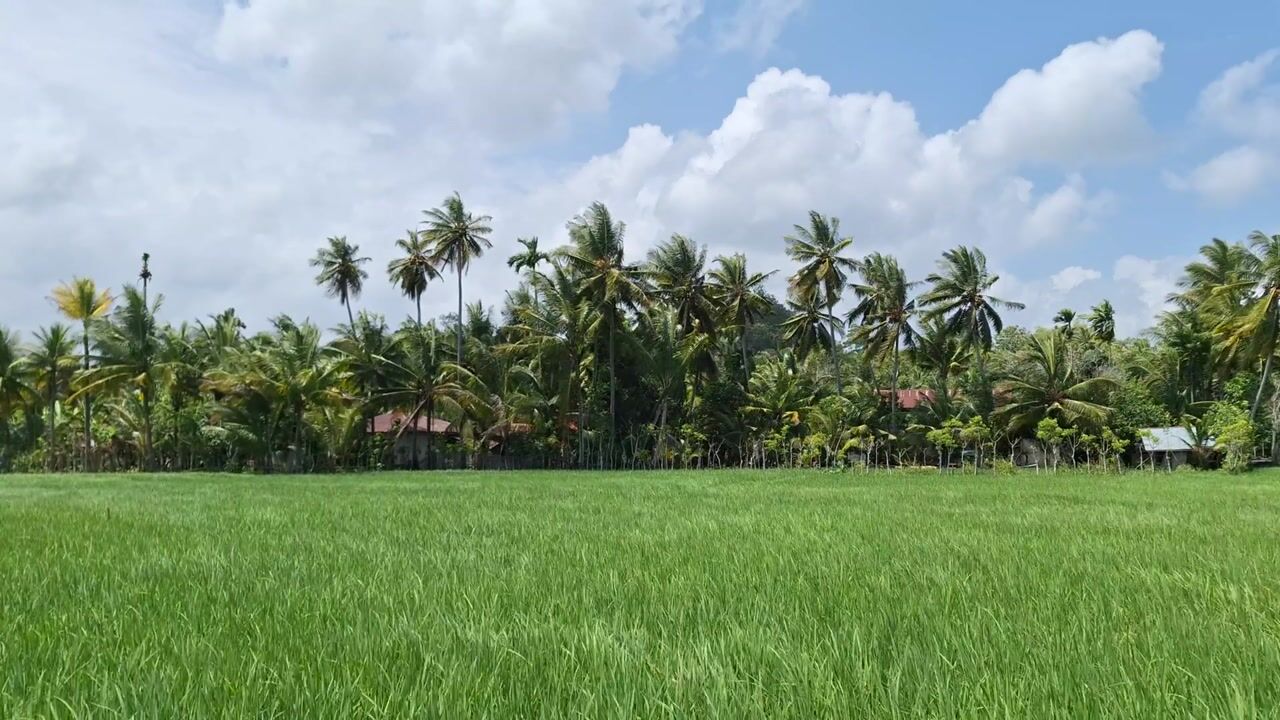 Top 10 Strains of 2026