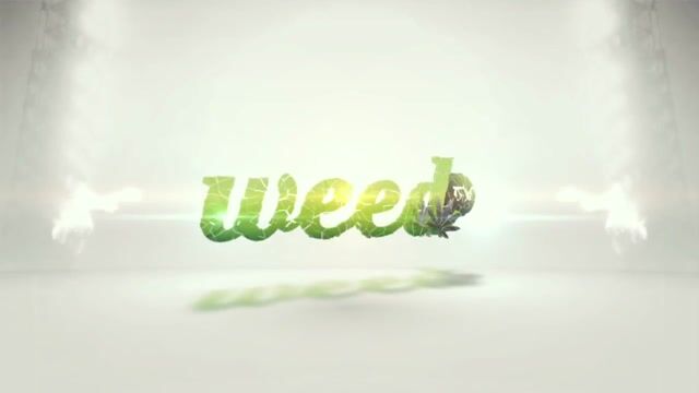 Showing You Around the WeedHouse