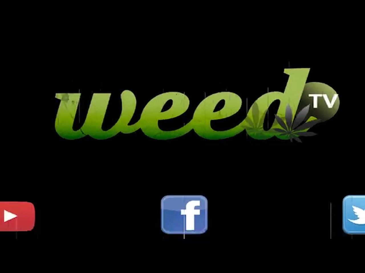 DunHyden sits with Carole, Curt, Kescilyann, Mrs. Bong, MasterBong and Anonymousthatdude at the WeedHouse