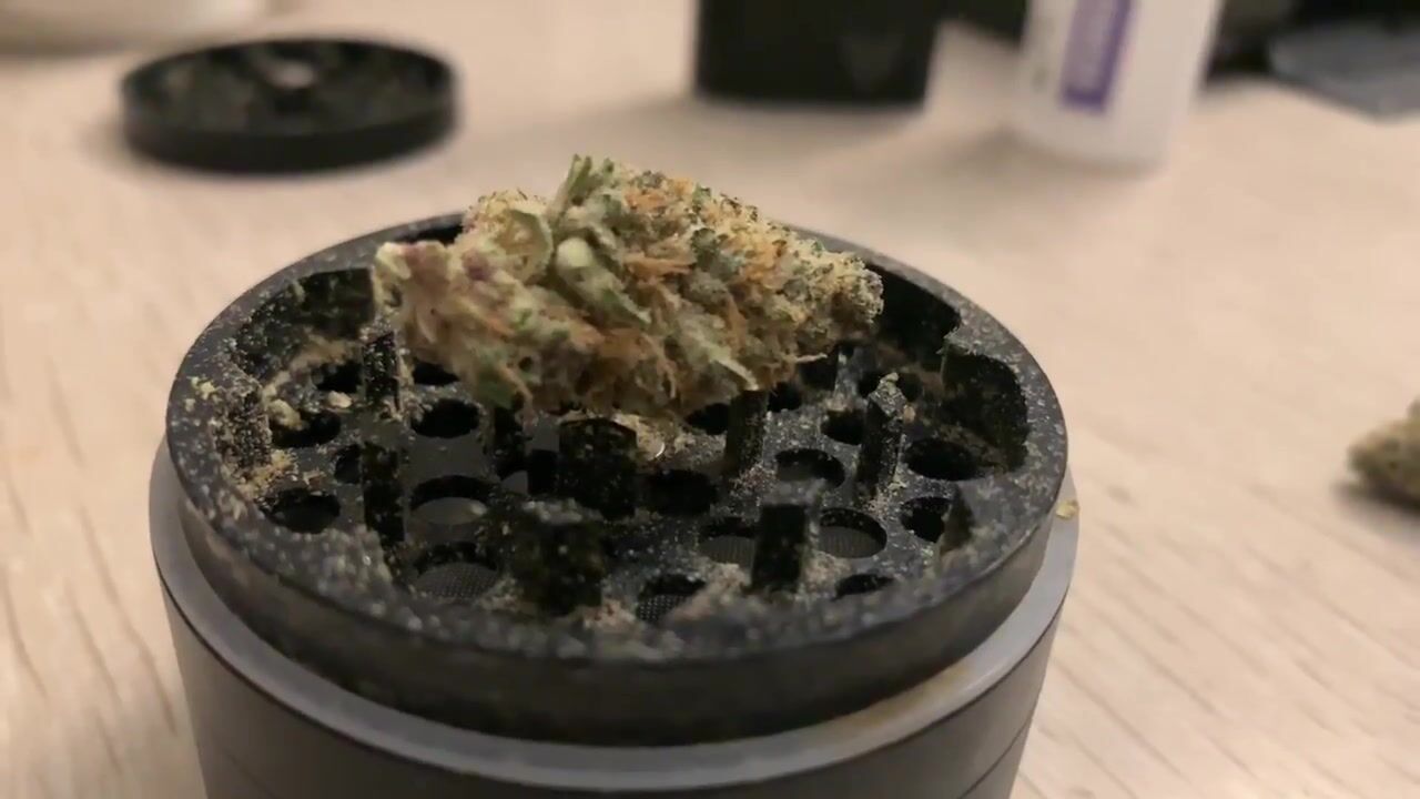 Strain Review : Hammerhead : Flower : Shore Natural Rx